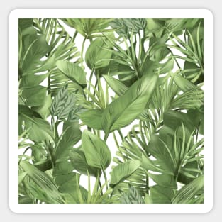 Tropical leaves on white Sticker